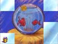 Le c�d� des b�b�s ! (d�s 12 mois)