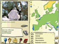 Les Oiseaux des for�ts et des montagnes (tous �ges)