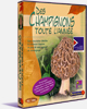 Des Champignons toute l�ann�e
