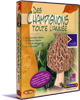 Des Champignons toute l�ann�e
