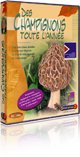 Des Champignons toute l�ann�e (tous �ges)