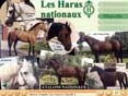 Hippomania, le monde du cheval (tous �ges)