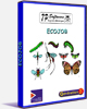 Ecojob