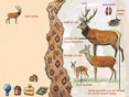 Le Monde de la nature (tous �ges)