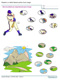 Rep�rer un d�tail d'une image