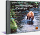Guide Sonore des Mammif�res d'Europe