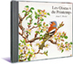 Les Oiseaux du Printemps