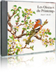 Les Oiseaux du Printemps (tous �ges)