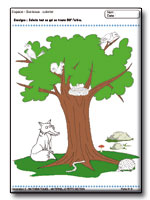 Fiches pour l'�l�ve : Activit�s math�matiques en Petite Section