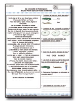 Fiches pour l'�l�ve : Lecture niveau II (CE2-CM1-CM2)
