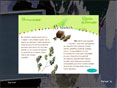 Pr�vention Cannabis