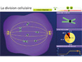 Animations p�dagogiques SVT (coll�ge)