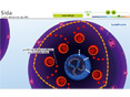 Animations p�dagogiques SVT (coll�ge)