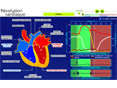 Animations p�dagogiques SVT (lyc�e)