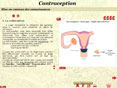 F�mina 3