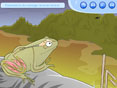 SVT - 34 animations p�dagogiques pour le coll�ge