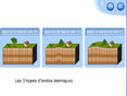 SVT - 42 animations p�dagogiques pour le lyc�e