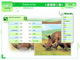 Reflex'English Cambridge Niveau 2 - Interm�diaire