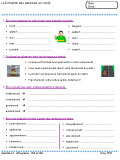 Fiches pour l'�l�ve : Orthographe (CM1-CM2)