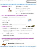 Fiches pour l'�l�ve : Orthographe (CM1-CM2)