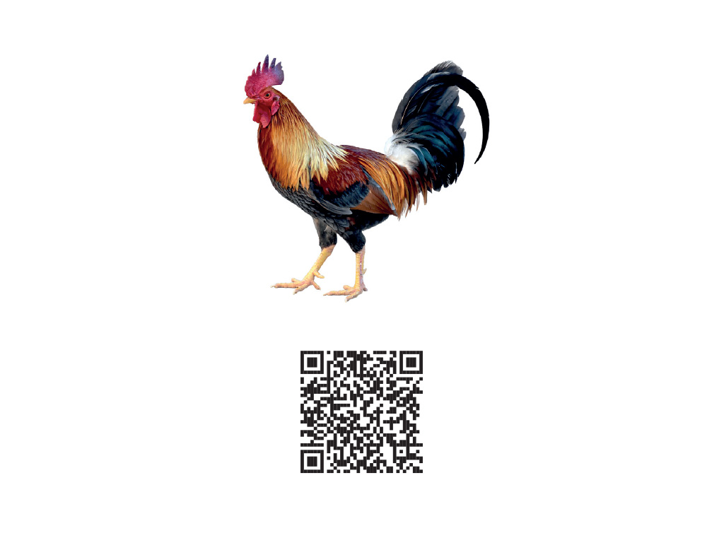 Carte augmentée animaux - QR code