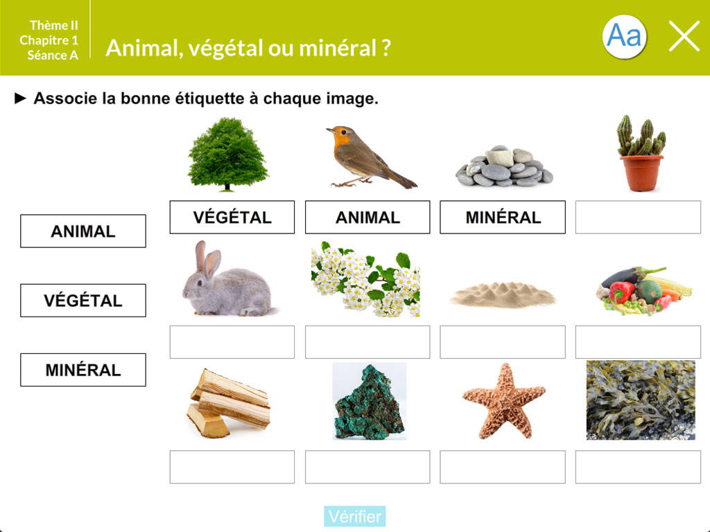 Activité interactive - Animal, végétal ou minéral ?