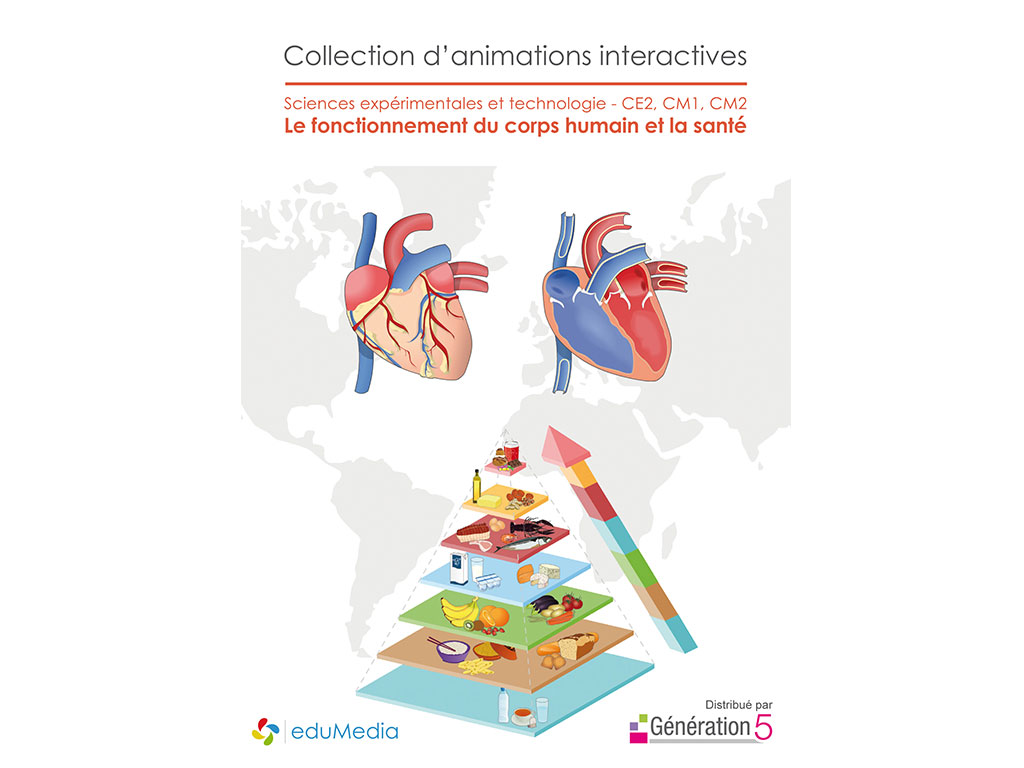 Logiciel Animations interactives : Le fonctionnement du corps humain et la santé (CE2-CM1-CM2)