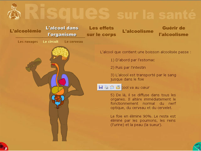 Effet Immédiat De L'alcool Sur L'appareil Urinaire